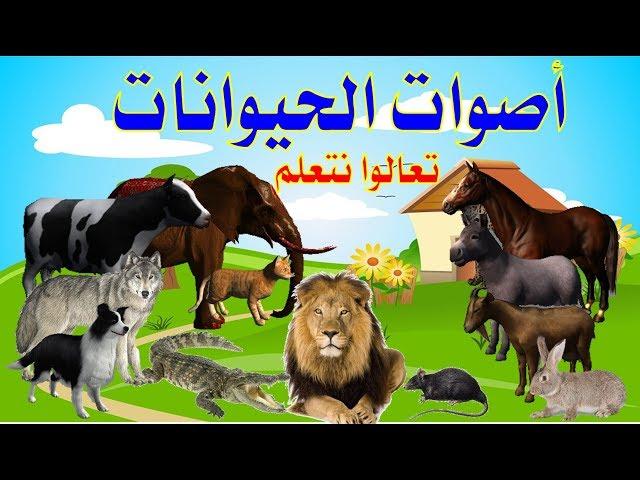 أسماء وأصوات الحيوانات للاطفال   تعليم أصوات الحيوانات للأطفال باللغة العربية #animal_sounds