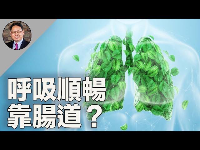 便秘影響呼吸順暢？！揭秘如何透過調理腸道，強健肺臟！