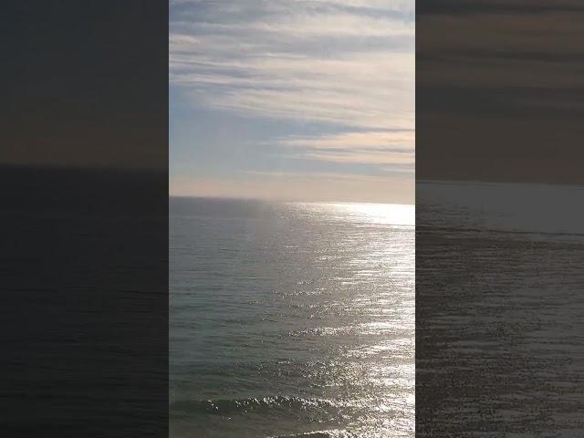 Los Angeles to San Francisco by TRAIN! #amtraktrain #amtrakcalifornia #amtrak #california