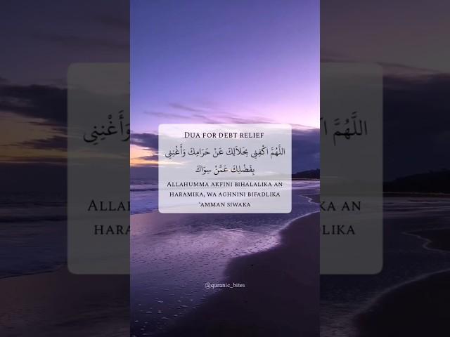 Seek halal sustenance #islamicreminder #islamicshorts #dua #fyp #explore #quranicbites