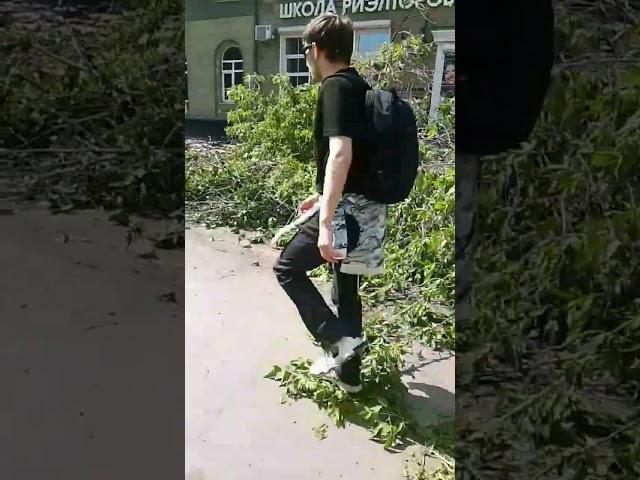 В Иркутске убирают деревья