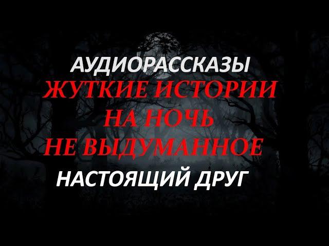 ЖУТКИЕ ИСТОРИИ НА НОЧЬ-НАСТОЯЩИЙ ДРУГ