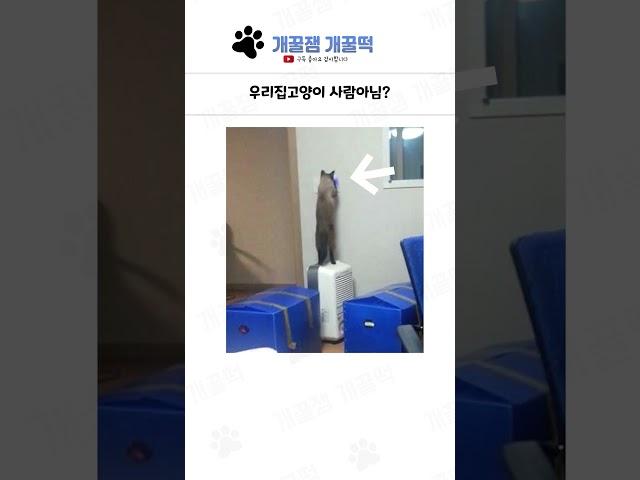 웃긴 상황들 모음 16탄 ㅋㅋㅋㅋ