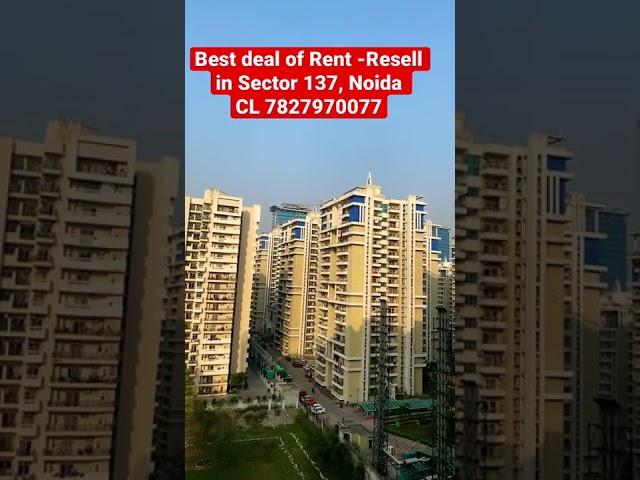 Property in Sector 137, Noida