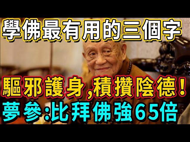 學佛人要常念3字神咒！不僅驅邪護身，還能積攢陰德！連夢參和尚都說：這力量比燒香拜佛強65倍！丨佛談大小事