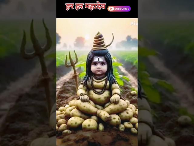 bhole baba songs|bhole baba bhajan #shorts #trendingshorts #harharmahadev #viralshort #bhajan