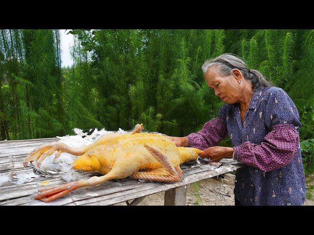 孫子準備去學校，阿婆給他做美味鴨飯，讓他去學校好好學習Guangxi grandma, uses duck meat to make various traditional food｜玉林阿婆