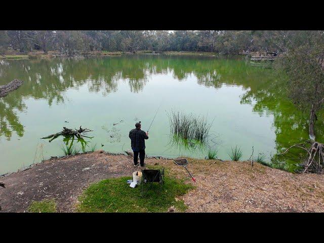 I Started This Fishing Adventure In Albury