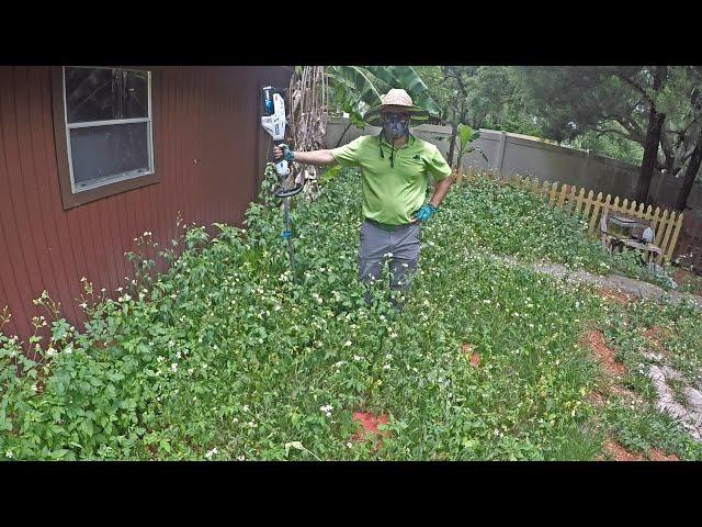 New HART 40V Battery String Trimmer Versus Hip-High Weeds (Overgrown Yard, Oddly Satisfying)