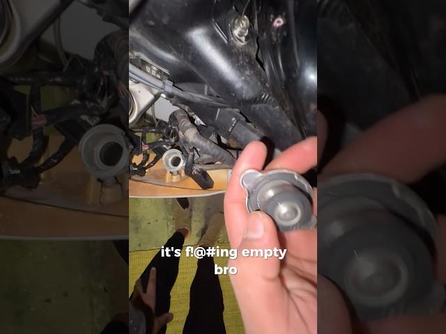 2 master mechanics vs Triumph coolant #triumph #motorbike #melbourne #kawasakininja #s1000rr #gsxr