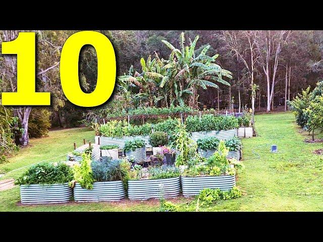 10 Vegetables You Should ALWAYS Grow