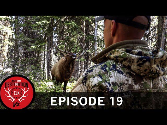 4-Yards, Frontal, and Furious! Corey's 2019 Idaho Bull (Destination Elk V2: Episode 19)