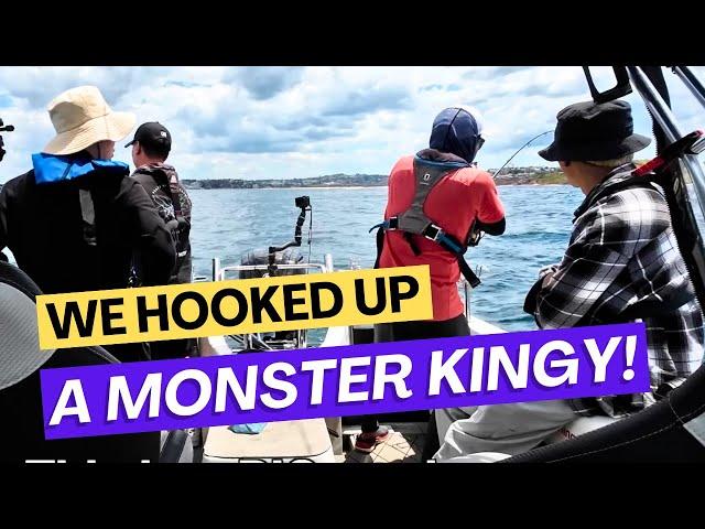 MONSTER Yellowtail Kingfish fishing