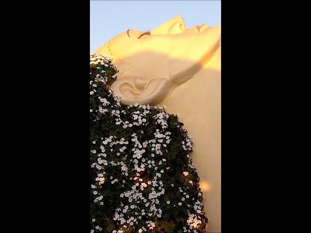 Miracal Garden in Dubai part 01