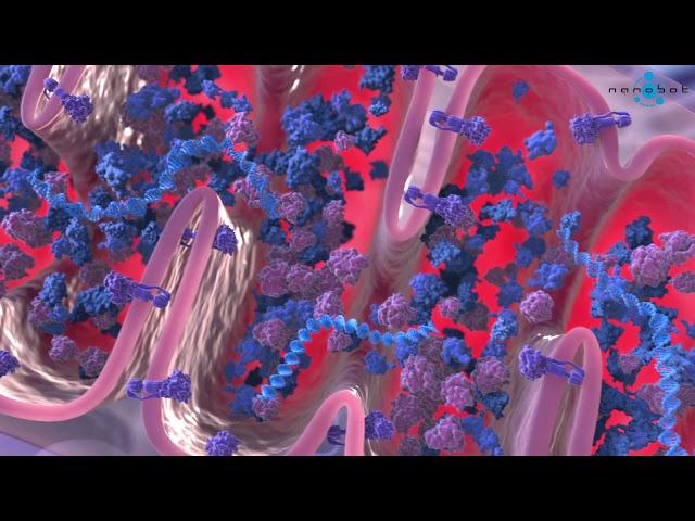 Krebs cycle 3D medical animation