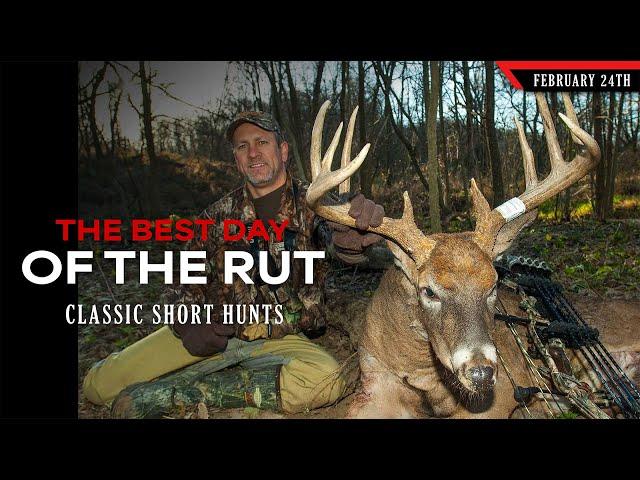 Classic Shorts: The Best Day of the Rut | Bowhunting Whitetails w/ Bill Winke