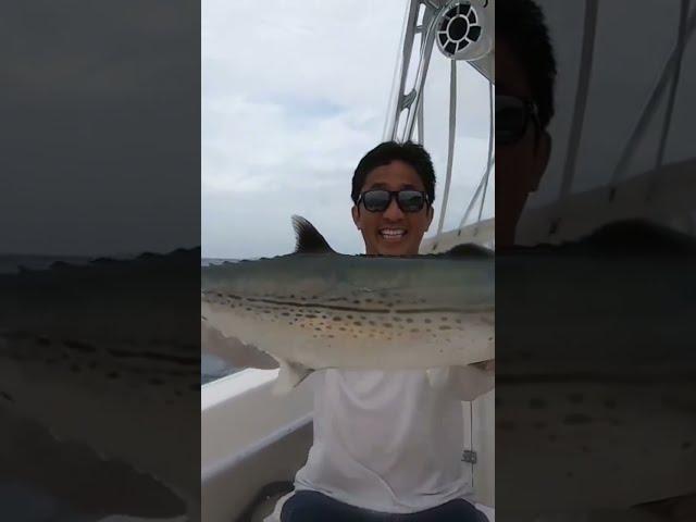 Fishing in the British Virgin Islands: Spanish Mackerel, Blue Runner, Barracuda