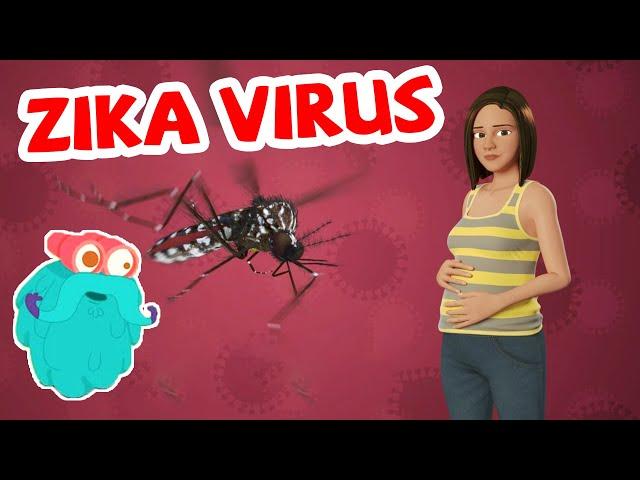 Lo que debe saber sobre el virus del Zika | Ciencias para niños