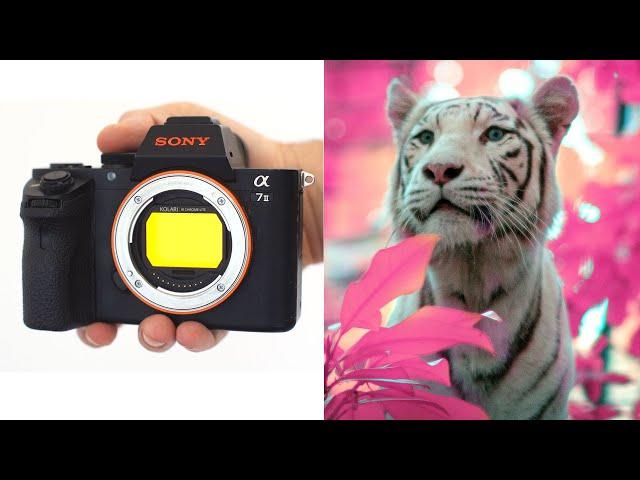 Using an INFRARED CAMERA at the ZOO