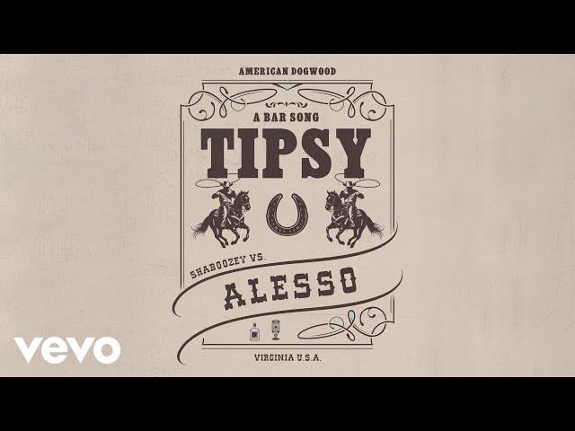 Shaboozey, Alesso - A Bar Song (Tipsy) [Remix] (Official Visualizer)