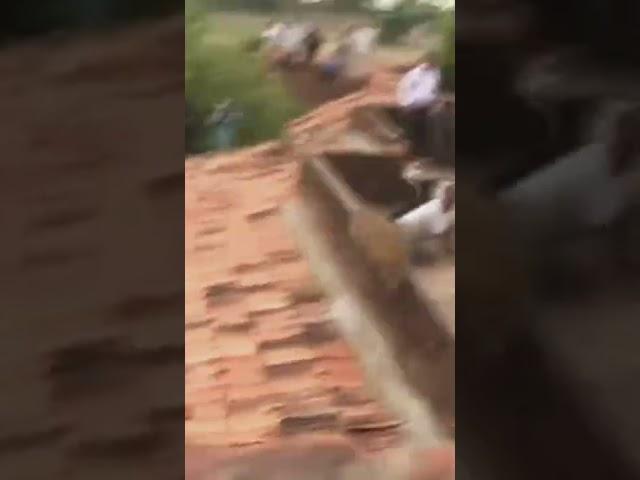Leopard Vs 3 Humans Leopard Attacks on a group of people #shorts #lion #people #leopard