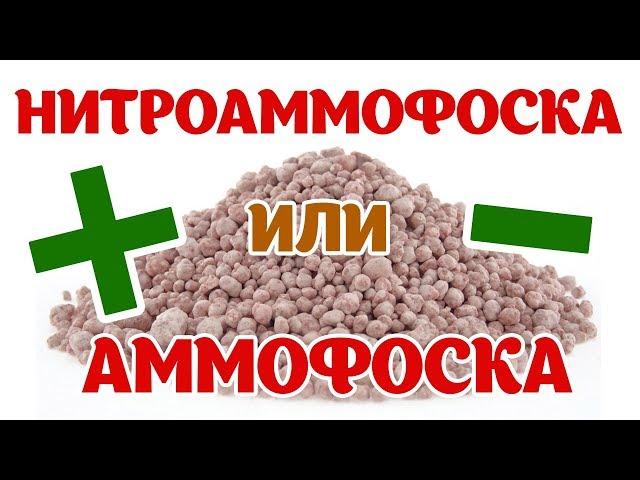 Комплексные удобрения: Нитроаммофоска и Аммофос. Плюсы и минусы