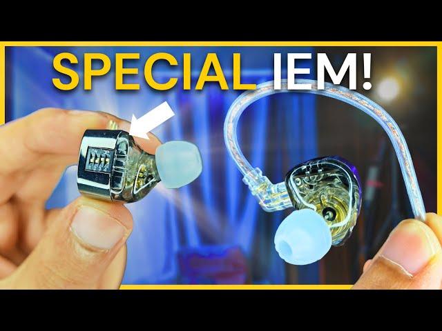 KZ Castor IEM with Special Hardware Switches!