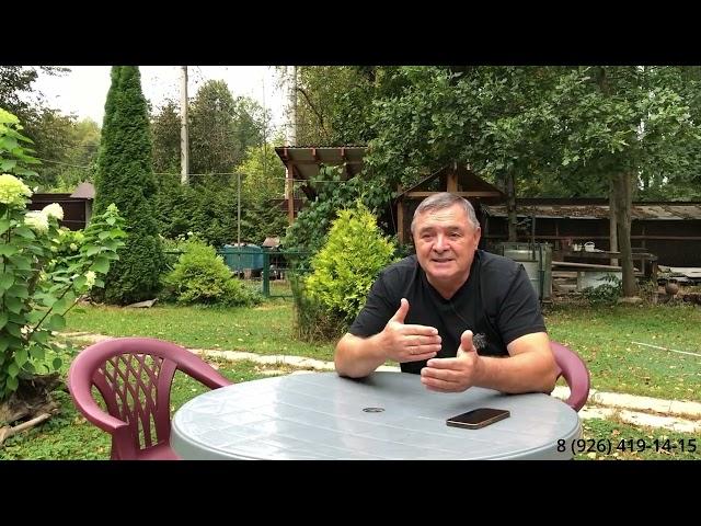 Что делать когда вы уже приобрели щенка