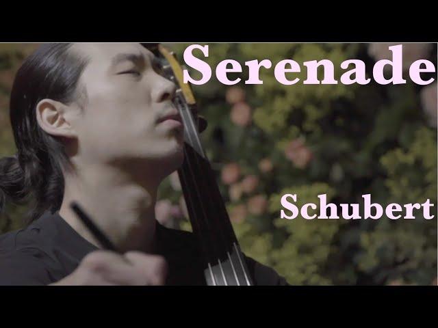 Schubert - Serenade Double Bass Minje Sung