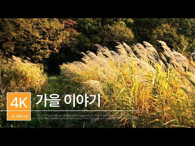 가을 이야기 | 가을 | 자연풍경ㅣSONY A7M4 | 힐링음악 | PLAYLIST | Autumn Story