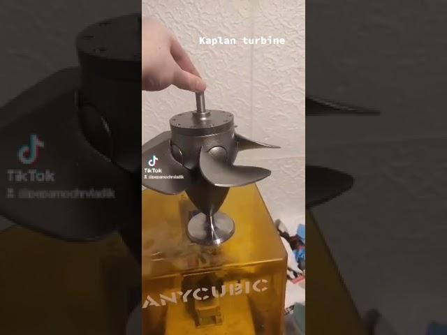 Kaplan turbine model
