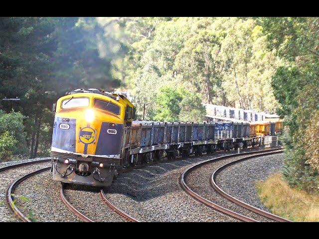 The 1000 METER Infrastructure Train & 6 Diesel Locomotives