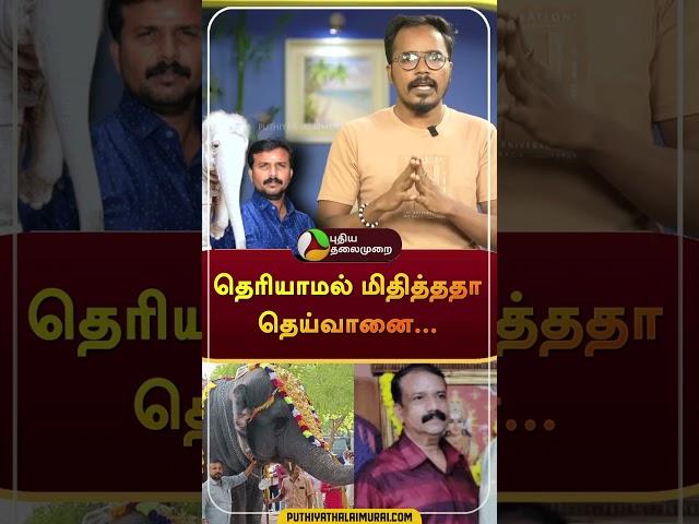 தெரியாமல் மிதித்ததா தெய்வானை..? | #shorts | #tiruchendur | #elephant | #puthiyathalaimuraitv