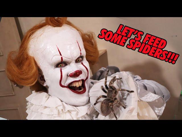 Pennywise feeding some BIG TARANTULAS! Scary large spiders! | Prince De Guzman Transformations