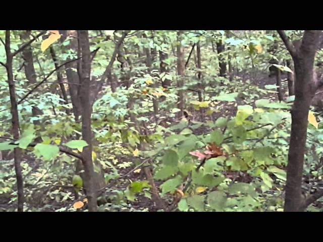 Todd and Beckee Rosenberger - Wed Oct 07 07:58:28