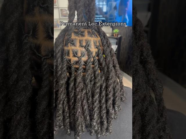 GET PERMANENT LOC EXTENSIONS - Ready for a new look? #instareels #instantlocs #locextensions