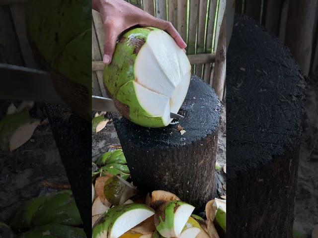 ASMR coconut #coconut#fruit