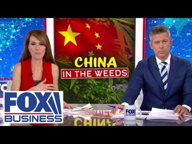 Dagen McDowell: Is China making 'deadly marijuana'?