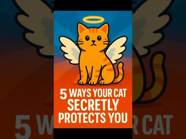 5 Ways Your Cat Secretly Protects You