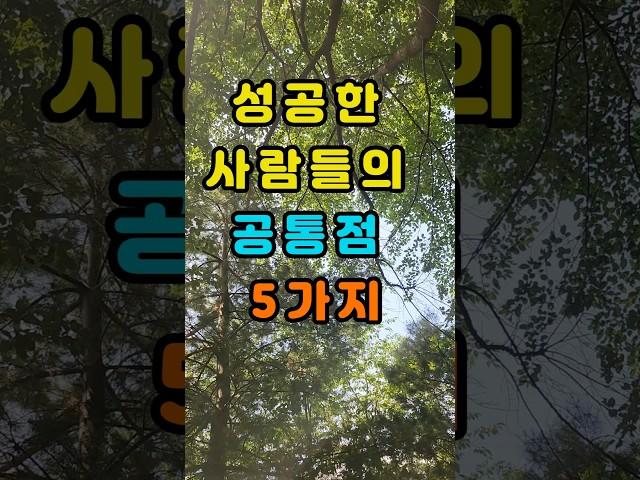 성공한 사람들의 공통점  5가지! #명언#인생명언#쇼츠명언#짧은명언#좋은글