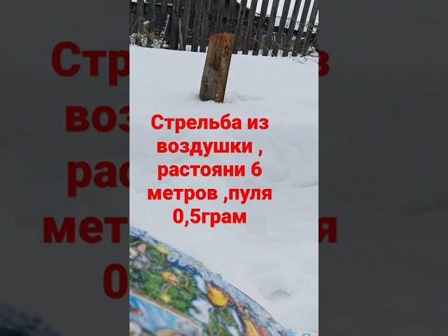 13 февраля 2022 г.