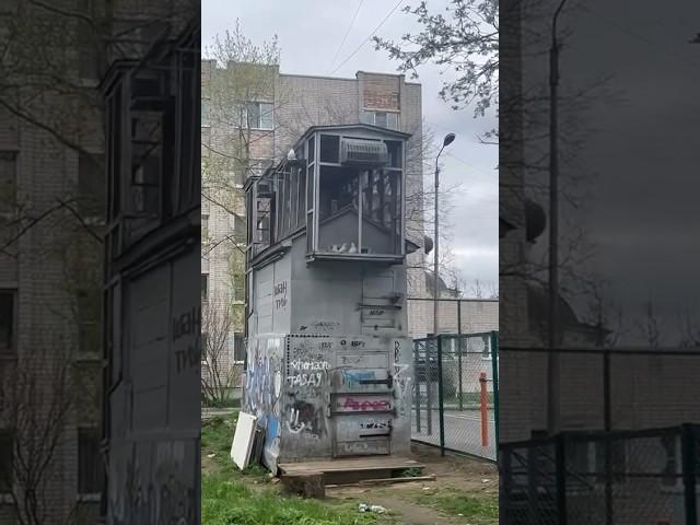 Голубятни Вологды.Всех с 1 мая.#голуби #birds #dog #shorts #sorts