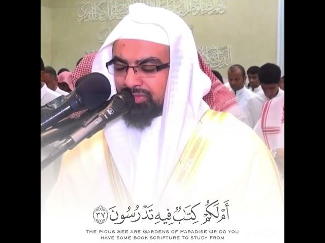 |وذكر بالقرآن| " أفنجعل المسلمين كالمجرمين " - سورة القلم - القارئ الشيخ د. ناصر القطامي