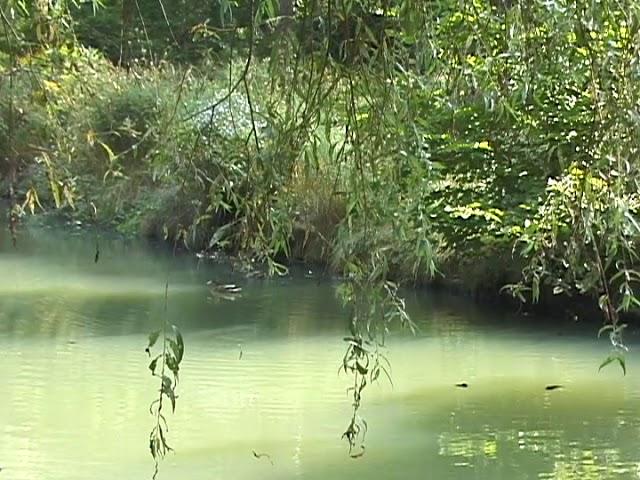 Promenade (2003)