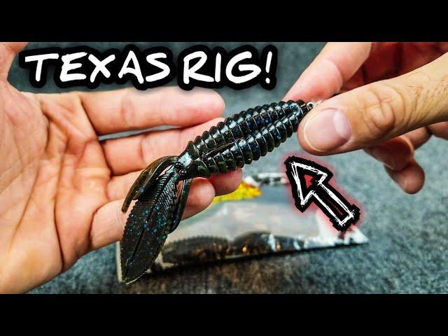 My TOP 5  Soft Plastics for a Weighted Texas Rig (Bass Fishing for Beginners)