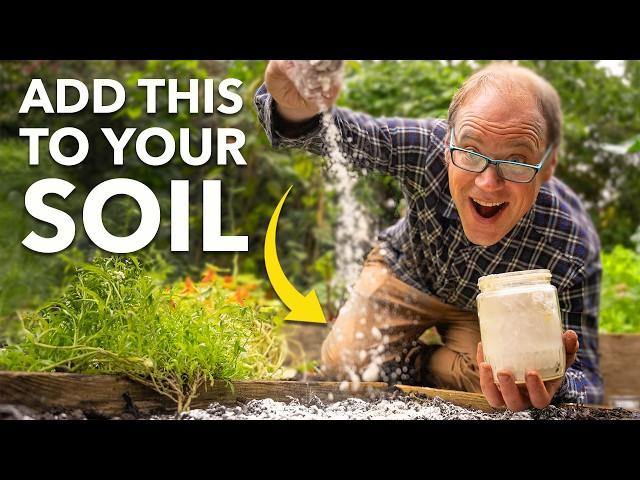 10 Simple Garden Hacks (Beginner to Pro)