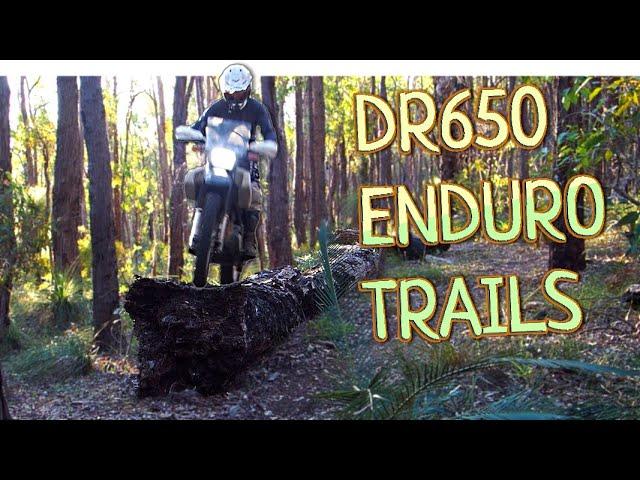 Suzuki DR650 slays Technical Enduro Trails