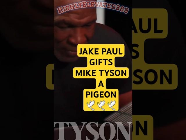 #HighlyElevated369 #miketyson #jakepaul #tysonvspaul #boxing #coldblooded