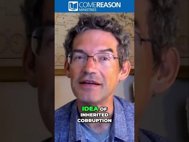 Is Original Sin Rational? Is it Fair? Let's Explore!