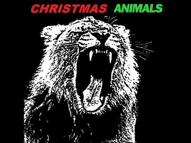 Matrin Garrix - Animals(Dook & D-Rez Christmas Edit)